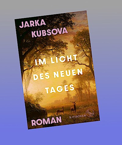 Im Licht des neuen Tages