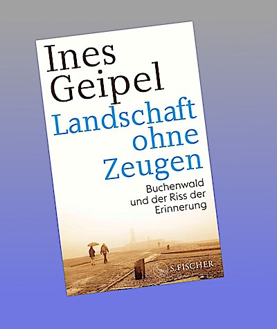 Landschaft ohne Zeugen