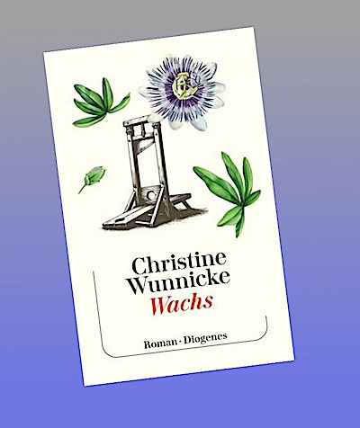 Wachs