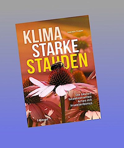 Klimastarke Stauden