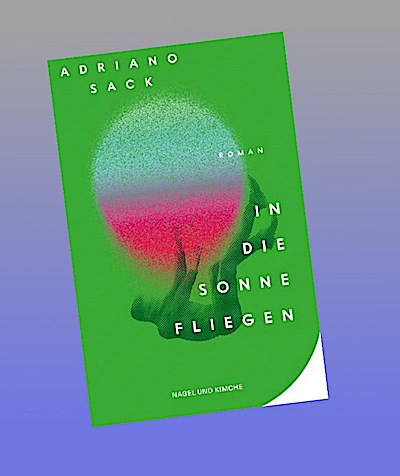 In die Sonne fliegen