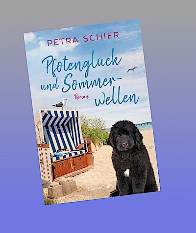 Pfotenglück und Sommerwellen
