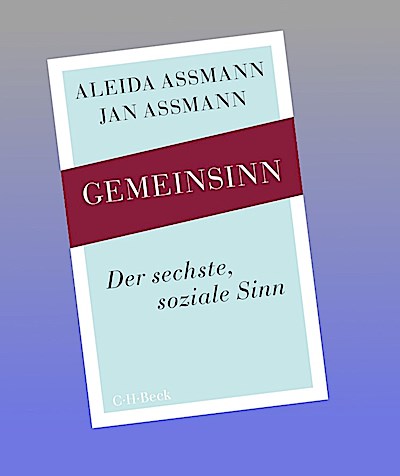 Gemeinsinn