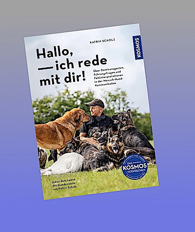 Hallo, ich rede mit dir!
