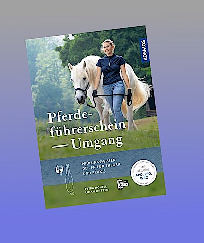 Pferdeführerschein Umgang