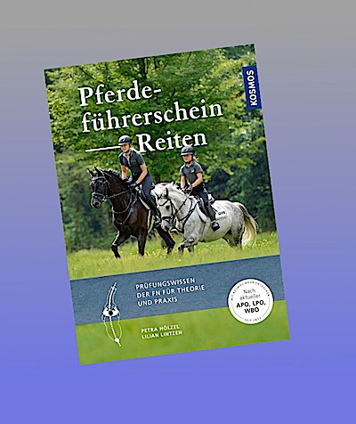 Pferdeführerschein Reiten
