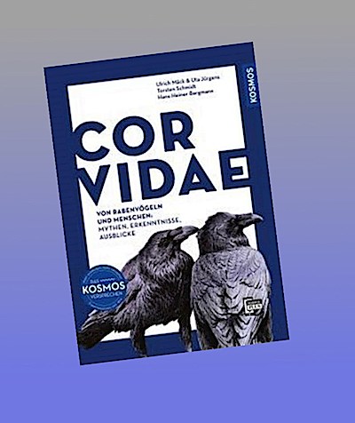 Corvidae