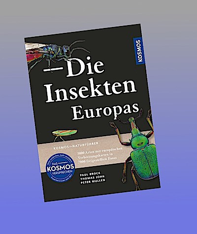 Insekten Europas
