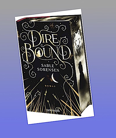 Dire Bound