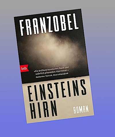 Einsteins Hirn