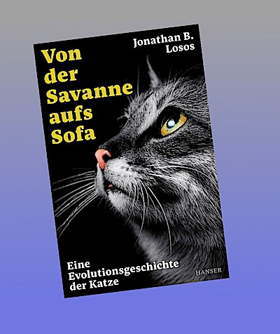 Von der Savanne aufs Sofa