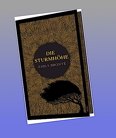 Die Sturmhöhe