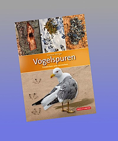 Vogelspuren