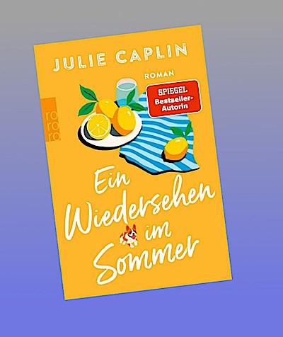 Ein Wiedersehen im Sommer