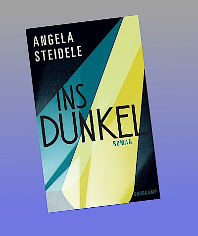 Ins Dunkel: Roman | Greta Garbo und Marlene Dietrich – zwei Leinwandikonen | »Ein brillanter Roman« Denis Scheck