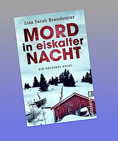Mord in eiskalter Nacht