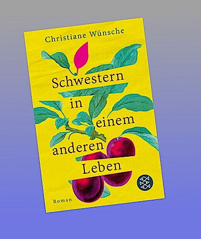 Schwestern in einem anderen Leben