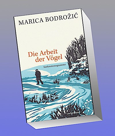 Die Arbeit der Vögel
