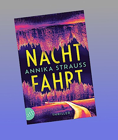 Nachtfahrt