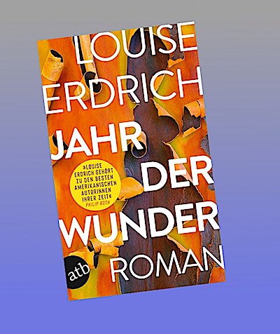 Jahr der Wunder: Roman