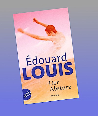 Der Absturz