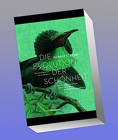 Die Evolution der Schönheit