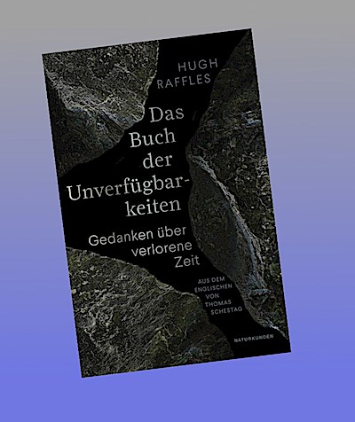 Das Buch der Unverfügbarkeiten