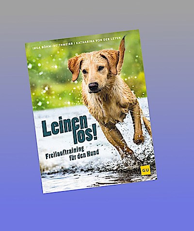 Leinen los! Freilauftraining für den Hund