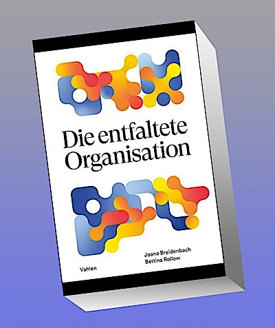 Die entfaltete Organisation