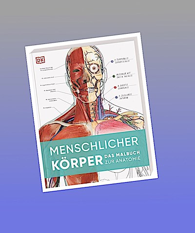 Menschlicher Körper