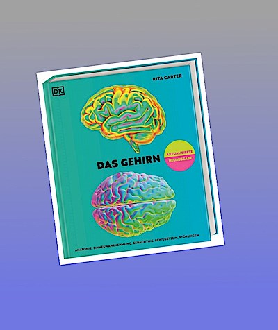 Das Gehirn