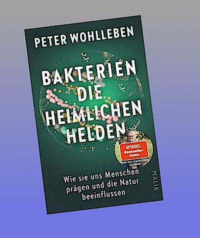Bakterien - die heimlichen Helden
