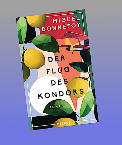 Der Flug des Kondors