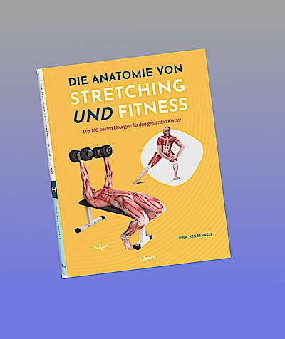 Die Anatomie von Stretching und Fitness