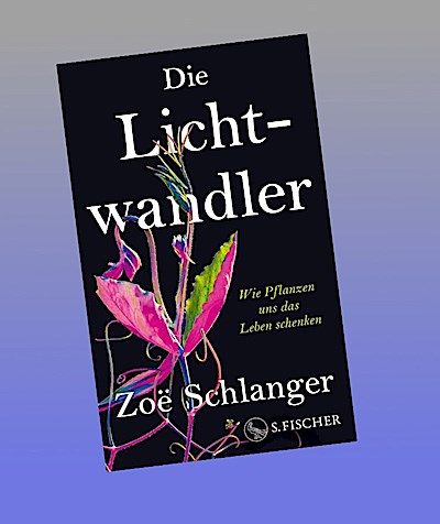 Die Lichtwandler