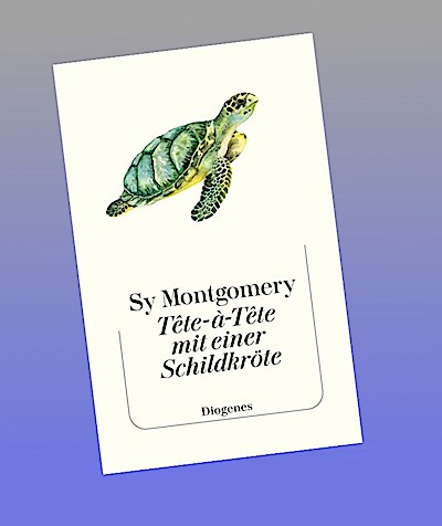 Tête-à-Tête mit einer Schildkröte
