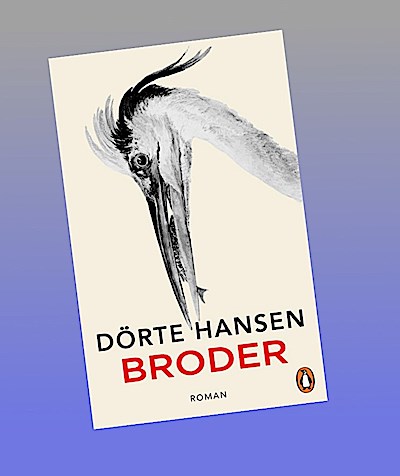 Broder