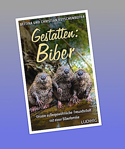 Gestatten: Biber
