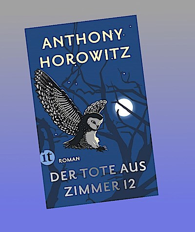 Der Tote aus Zimmer 12