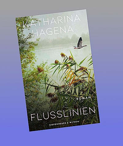 Flusslinien