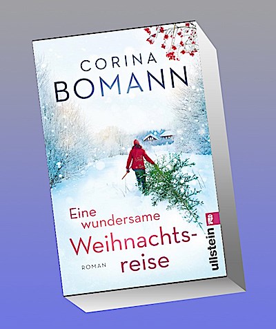 Eine wundersame Weihnachtsreise