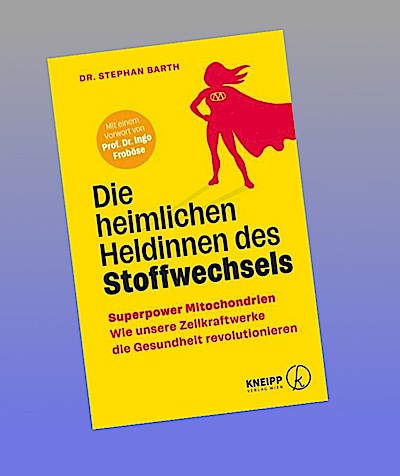 Die heimlichen Heldinnen des Stoffwechsels