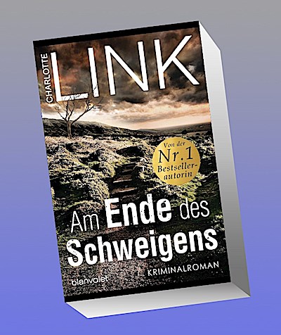 Am Ende des Schweigens: Kriminalroman