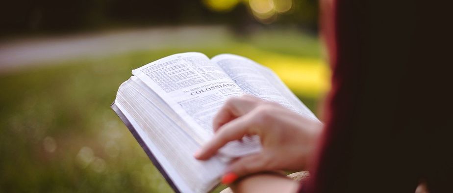 Bücher, Belletristik, Bestseller, Krimis und Romane